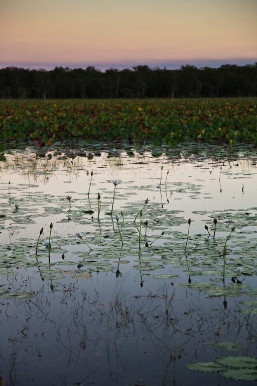 Aurora Kakadu Hotel ภายนอก รูปภาพ